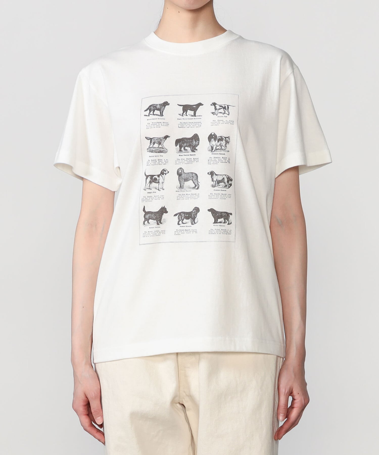 Bshop History of Art ｜ プリントTシャツ DOG WOMEN ビショップ トップス カットソー・Tシャツ ホワイト