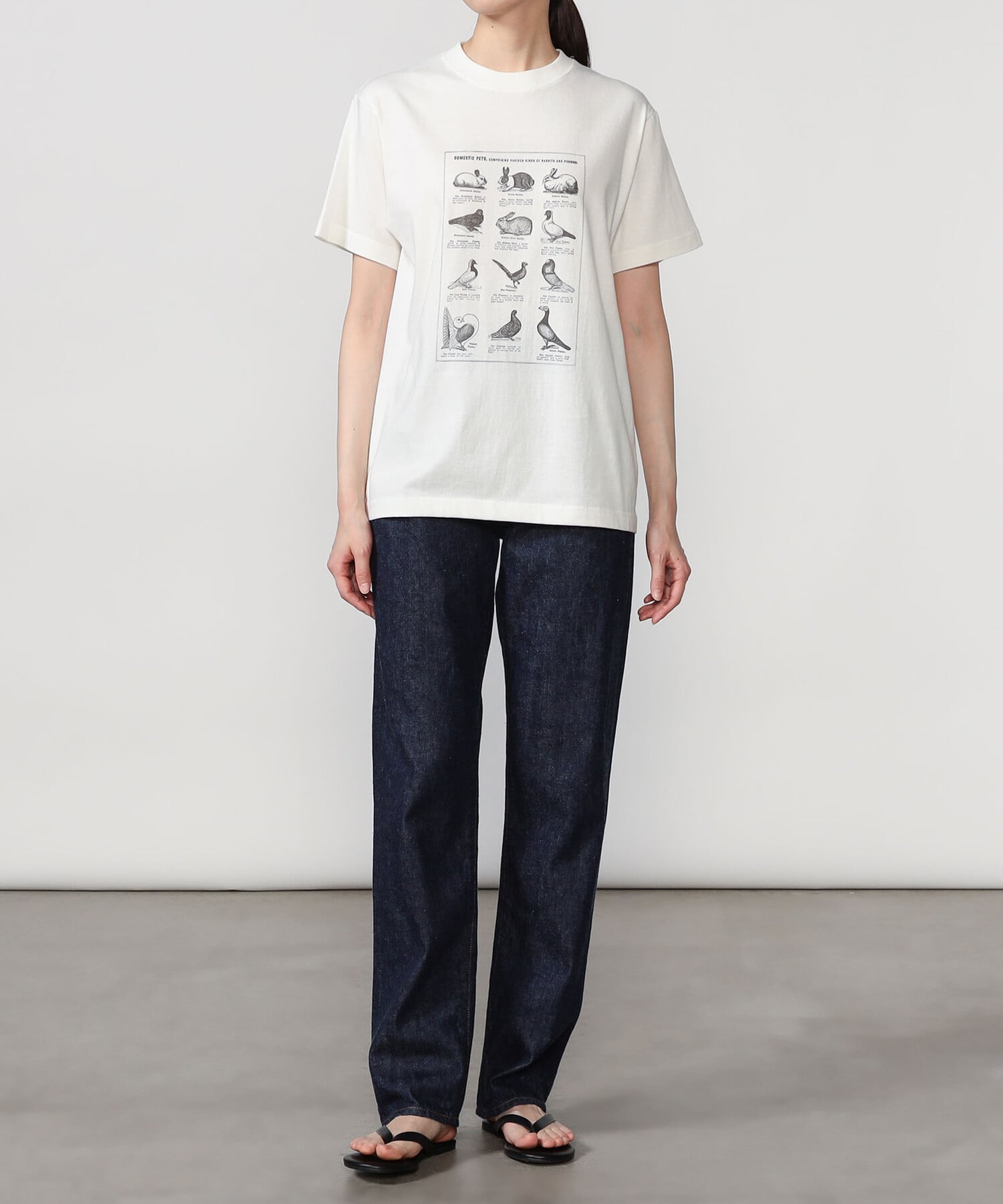 Bshop History of Art ｜ プリントTシャツ RABBITS & BIRDS WOMEN ビショップ トップス カットソー・Tシャツ ホワイト