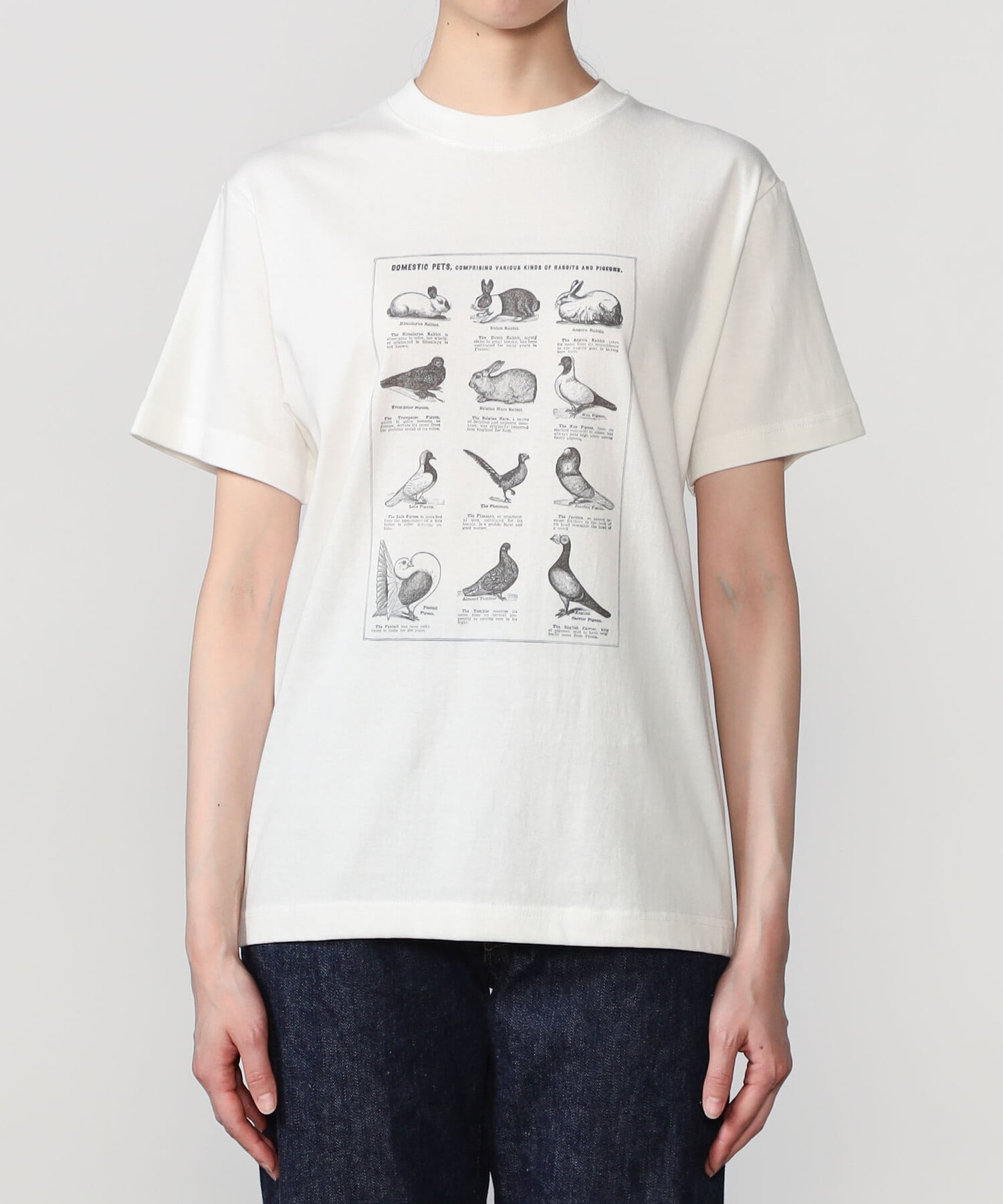 Bshop History of Art ｜ プリントTシャツ RABBITS & BIRDS WOMEN ビショップ トップス カットソー・Tシャツ ホワイト