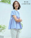 J.PRESS LADIES L 【WEB限定・洗える】ストライプジャージー フレア カットソー ジェイプレス トップス カットソー・Tシャツ【送料無料】