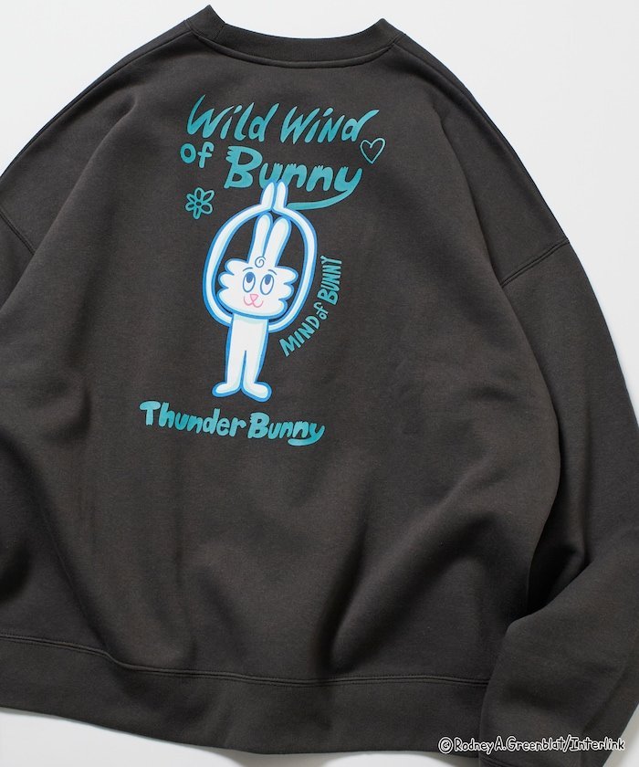 【SALE／40%OFF】FREAK'S STORE Thunder Bunny / サンダーバニー / 別注 ビッグシルエット バックプリント クルーネックスウェット 【限定展開】 25AW フリークスストア トップス スウェット・トレーナー ピンク グレー ブラック ネイビー