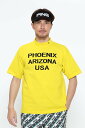 PING APPAREL ハイネックニットプルオーバー <NATIVE> (MENS) ピン アパレル トップス ニット ホワイト イエロー ネイビー【送料無料】
