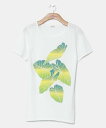 Maunaloa 【マウナロア】ワンダフルタロT-SH アミナコレクション トップス カットソー・Tシャツ ホワイト ブラック【送料無料】