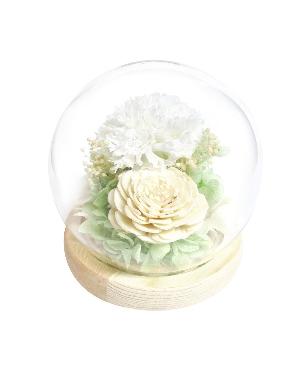BACKYARD FAMILY スフィア ガラスドームアレンジメント ローラ インテリア・生活雑貨 その他のインテリア・生活雑貨