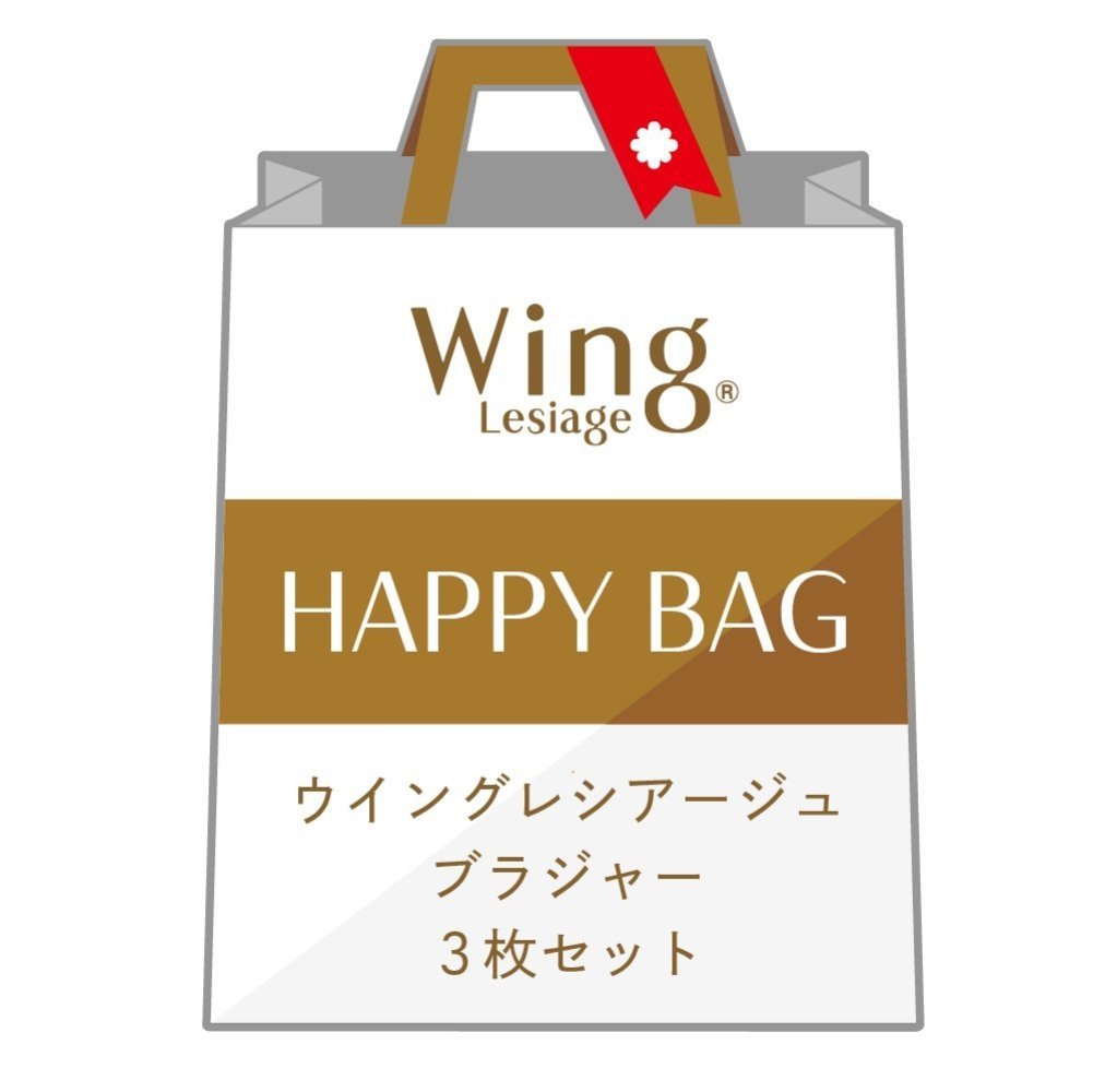 Wing Lesiage  ウイング レシアージュ ブラジャー 3枚セット ウイング インナー・ルームウェア ブラジャー