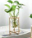 【SALE/30%OFF】aimoha home aimoha home/(W)ガラスの植物スタンド アイモハ インテリア・生活雑貨 フラワーベース・花瓶 ゴー...