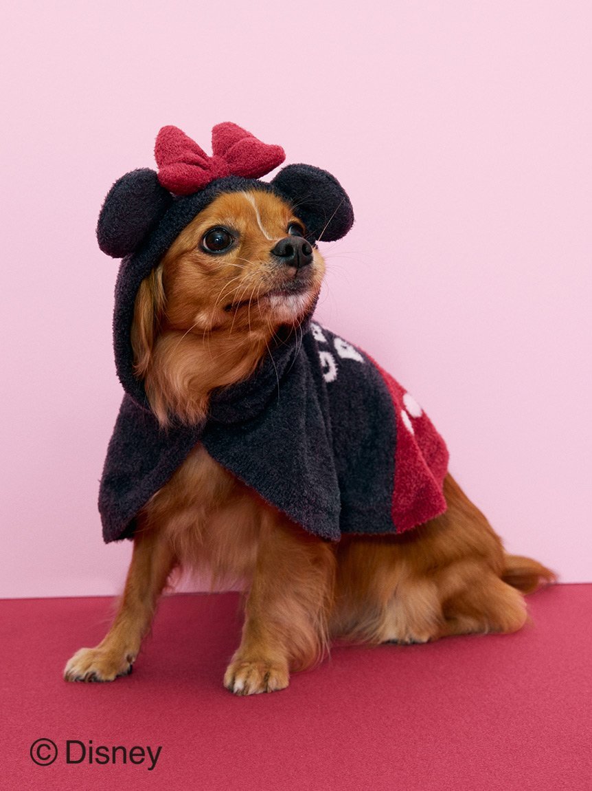 GELATO PIQUE CAT DOG 【CAT DOG】【販路限定商品】Minnie/スムーズィーケープ ジェラートピケ ペット用品 ペットウェア ペット服 レッド ピンク【送料無料】