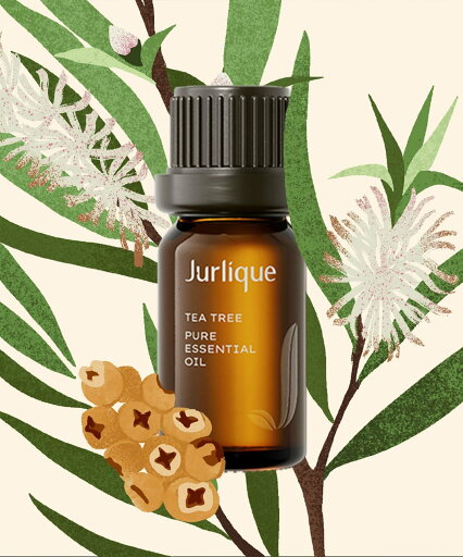 Jurlique 【公式】ジュリーク ティートリー ピュアエッセンシャルオイル ジュリーク フレグランス その他のフレグランス Jurlique 【公式】ジュリーク ティートリー ピュアエッセンシャルオイル ジュリーク フレグランス その他のフレグランス