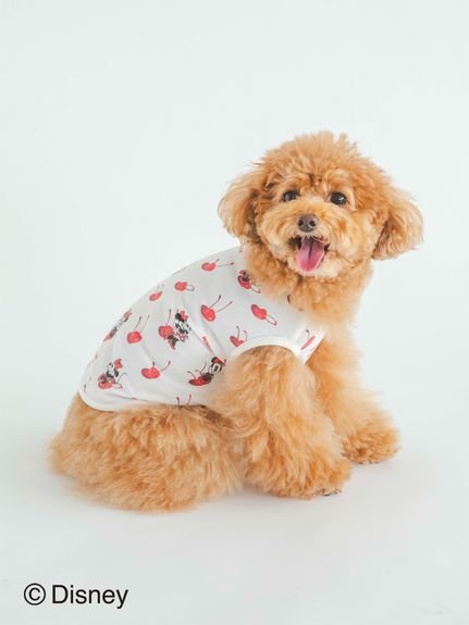 GELATO PIQUE CAT&DOG 【CAT&DOG】【販路限定商品】Minnie/COOLプルオーバー ジェラートピケ ペット用品 ペットウェア・ペット服 ホワイト ピンク【送料無料】 1