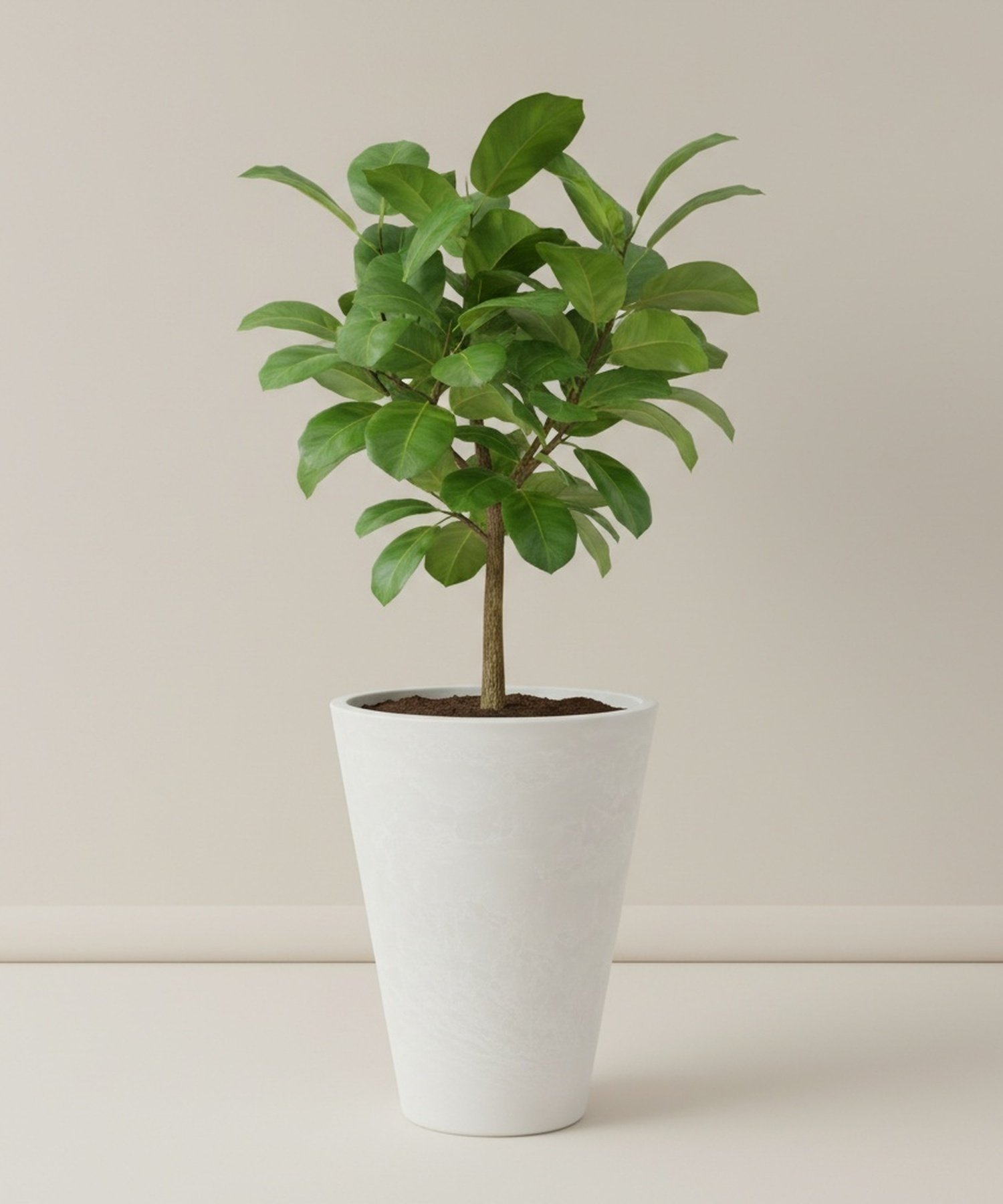BACKYARD FAMILY SK円錐ロングポット ローラ インテリア・生活雑貨 フラワーベース・花瓶 ブラック【送料無料】 [2]