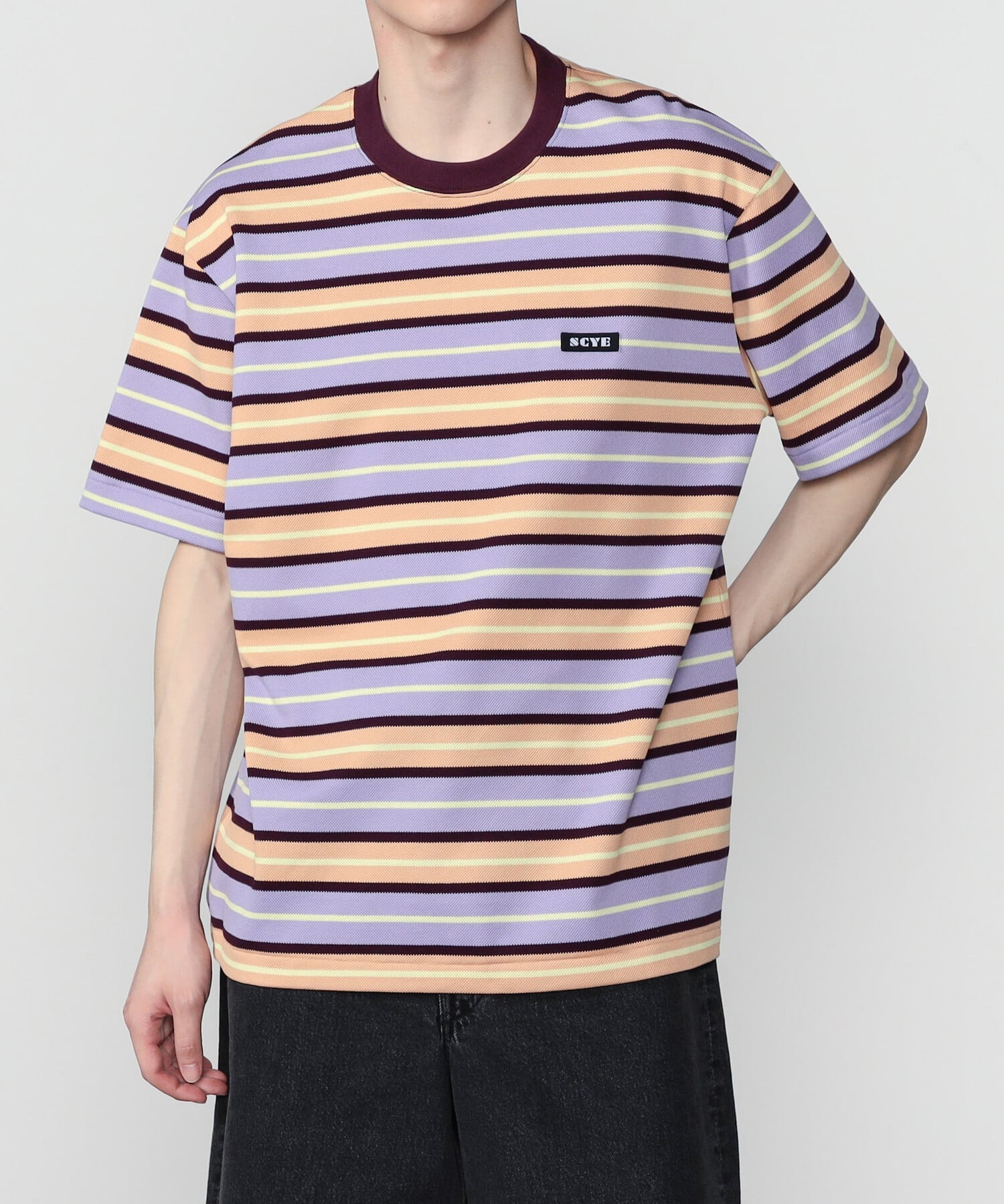 Bshop SCYE BASICS ｜ コットン 鹿の子ボーダーTシャツ MEN ビショップ トップス カットソー・Tシャツ パープル グリーン【送料無料】