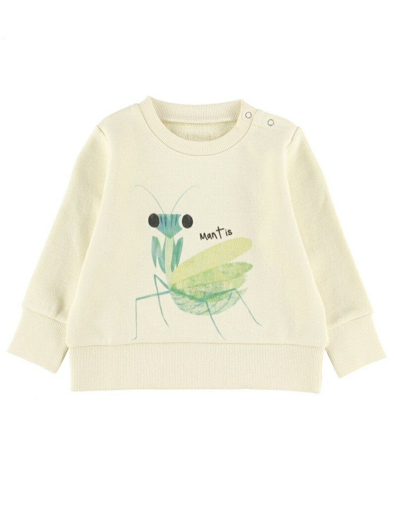 Insect Collection (K)かまきりくんプリントスウェット キッズ インセクトコレクション トップス その他のトップス ホワイト【送料無料】のサムネイル