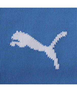 PUMA TEAMFINAL 21 サッカー ストッキング プーマ スポーツ/水着 スポーツグッズ