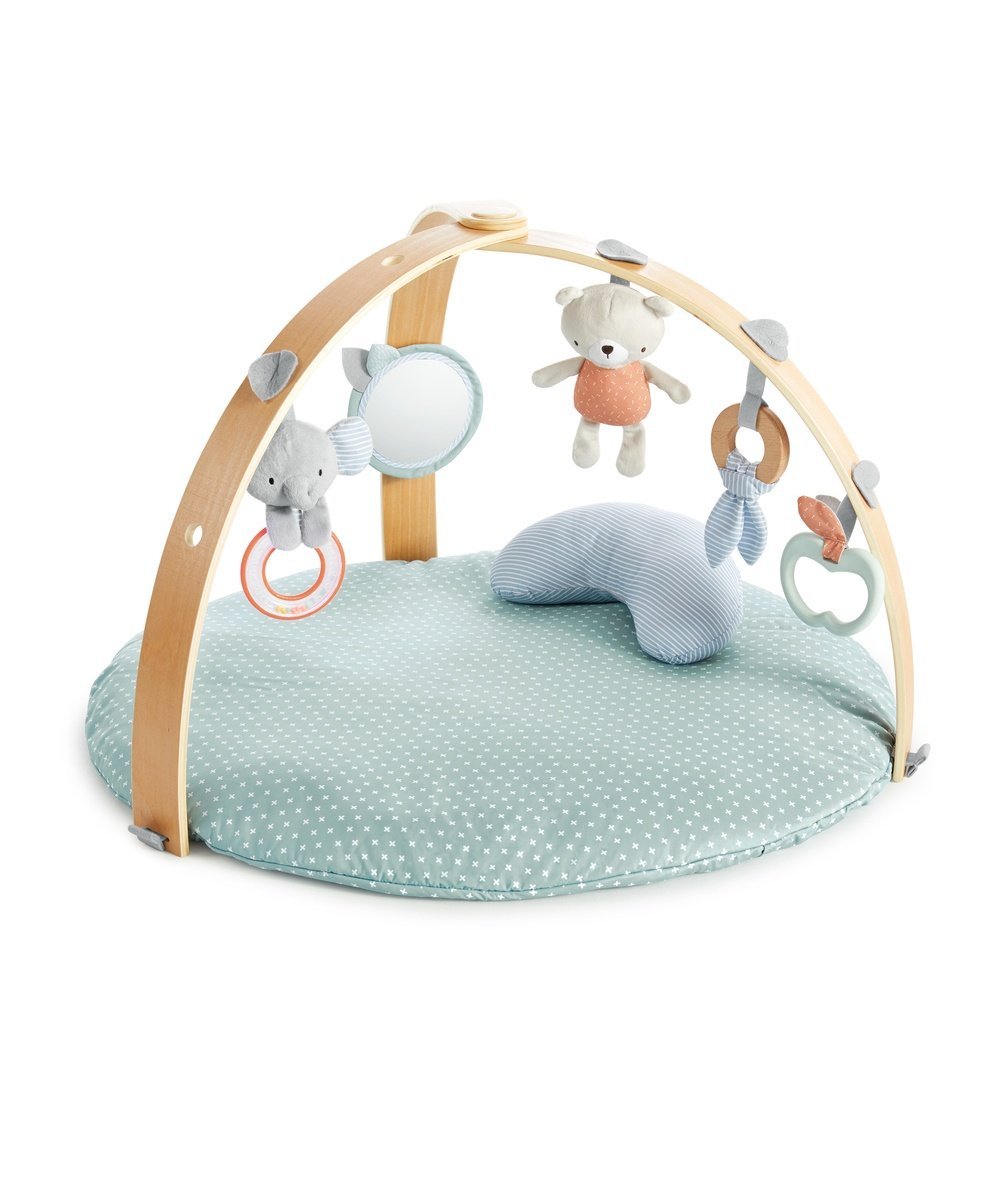 BACKYARD FAMILY コージースポット リバーシブルジム ローラ インテリア・生活雑貨 おもちゃ・ゲーム・フィギュア グリーン【送料無料】