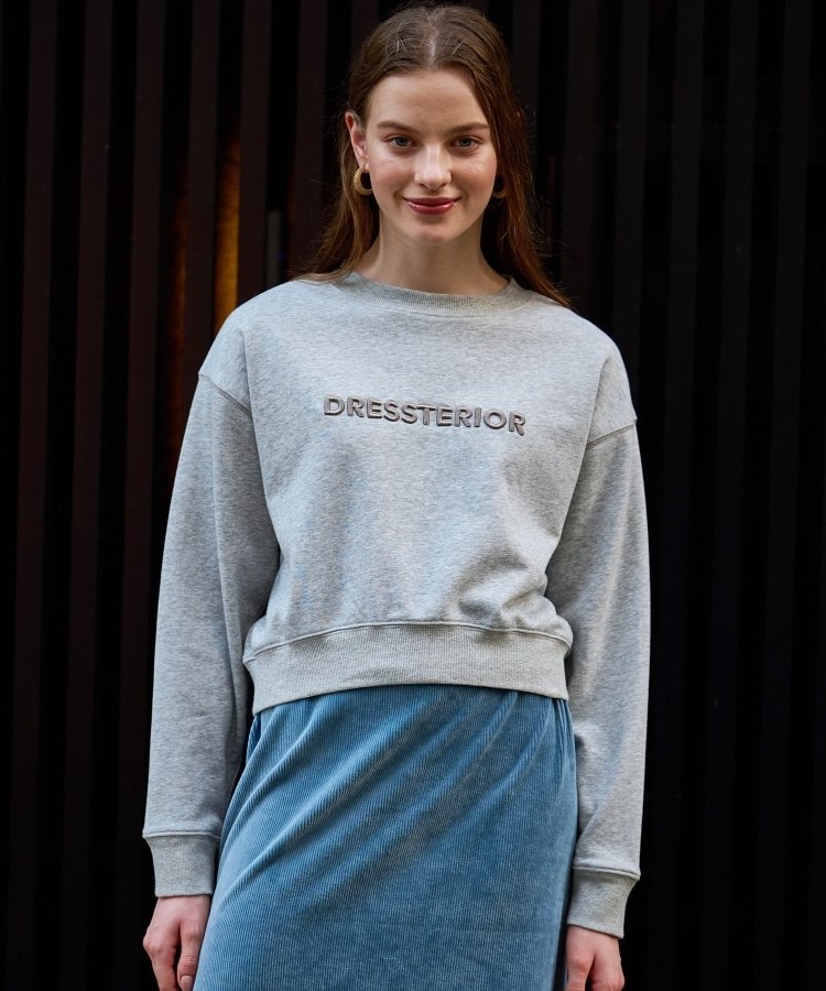 DRESSTERIOR 刺繍ロゴプルオーバー ドレステリア トップス スウェット・トレーナー グレー ブラック【送料無料】のサムネイル