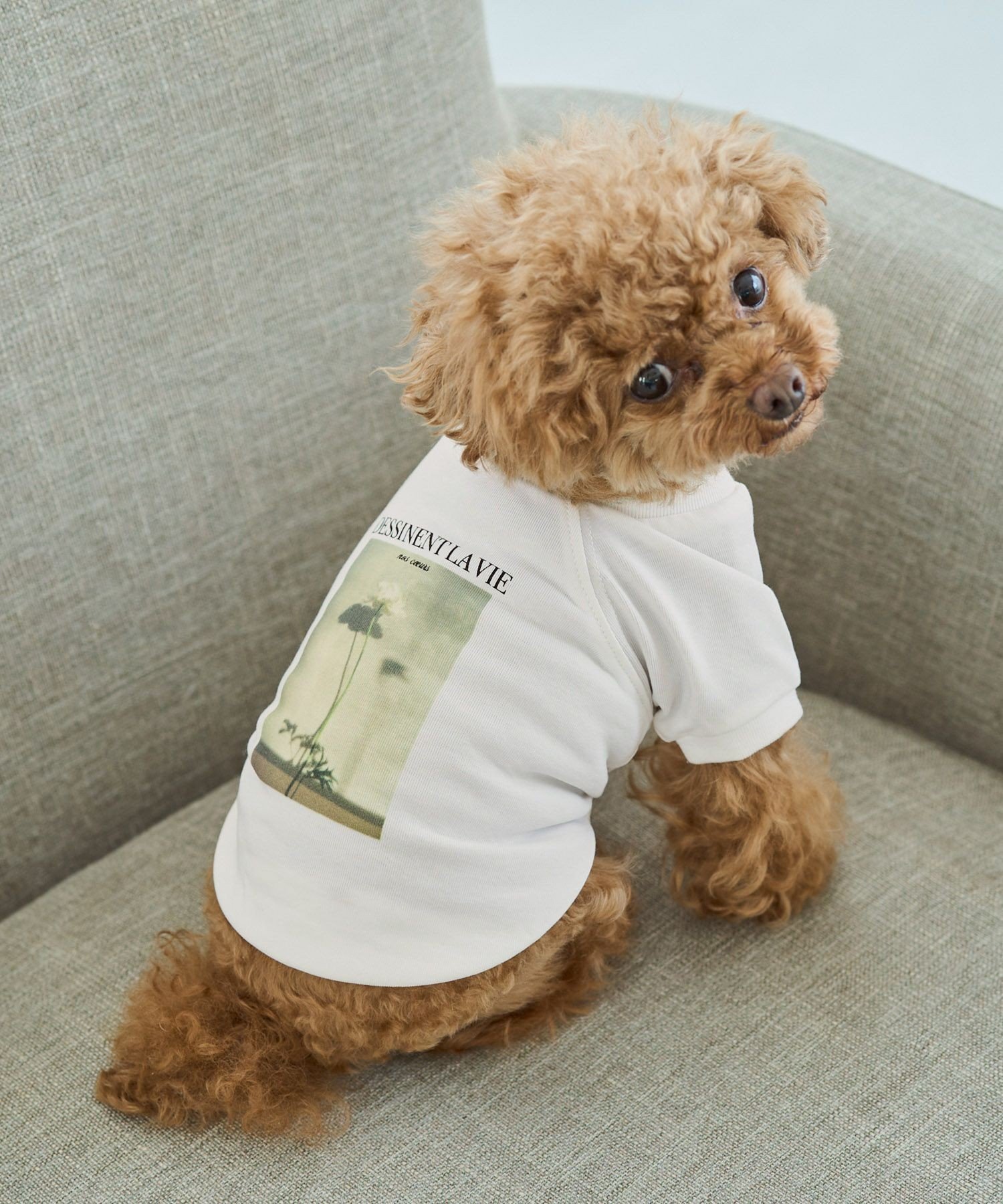 【SALE／40%OFF】ROPE' PICNIC PASSAGE 【DOG】RENU photo Tee/UVカット・接触冷感・リンクコーデ ロペピクニック ペット用品 ペットウェア・ペット服 ホワイト stylife-15605792 Rakuten Fashion サンプル画像3