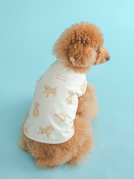 お腹 腰の血流促進 シルク腹巻 テラヘルツワン 7301 (S～LLサイズ) クークチュール Coo Couture 犬用 猫用 ヘルニア 腰痛 お腹が弱い 血流 ほぐす 温め 伸縮性 腹巻き 日本製 子犬 パピー犬 老犬 シニア犬 成犬 血行促進 寒がり はらまき