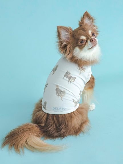 楽天Rakuten FashionGELATO PIQUE CAT&DOG 【CAT&DOG】【販路限定商品】チワワ柄COOLプルオーバー ジェラートピケ ペット用品 ペットウェア・ペット服 ホワイト【送料無料】