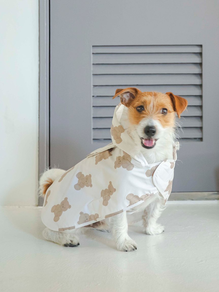 楽天Rakuten FashionGELATO PIQUE CAT&DOG 【CAT&DOG】【販路限定商品】レインポンチョ ジェラートピケ ペット用品 ペットウェア・ペット服 レッド【送料無料】