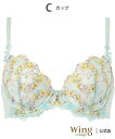 Wing Lesiage ウイング 【2120シリーズ】 ブラジャー ふんわりまるみメイク ウイング インナー・ルームウェア ブラジャー【送料無料】(4)