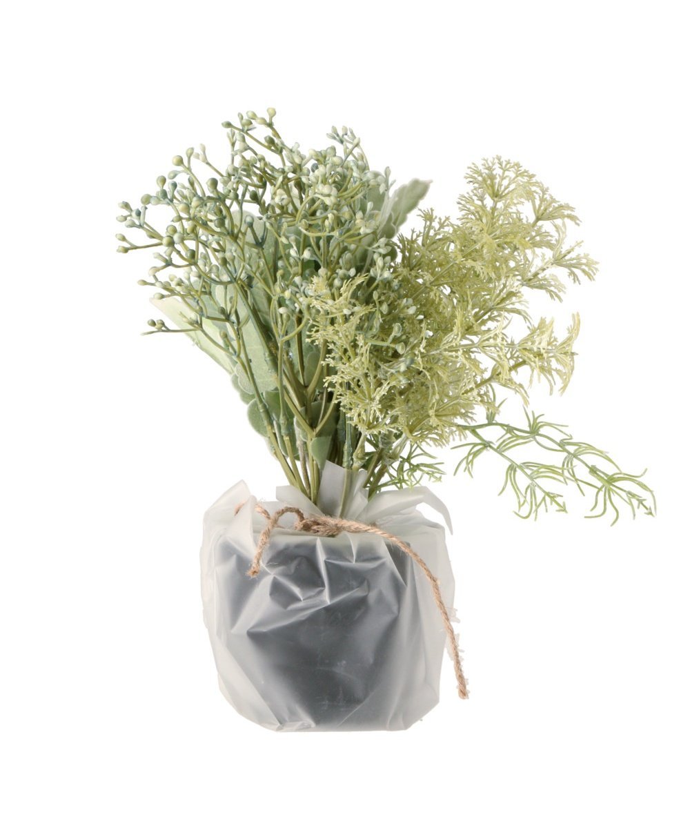 BACKYARD FAMILY ミックスグリーンポット ローラ インテリア・生活雑貨 その他のインテリア・生活雑貨 グリーン