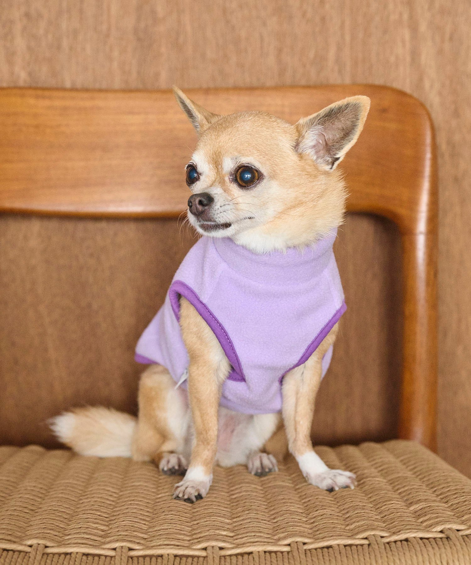 【SALE／40%OFF】ROPE' PICNIC PASSAGE 【DOG】カラーフリースベスト ロペピクニック ペット用品 ペットウェア・ペット服 パープル オレンジ stylife-14697627 Rakuten Fashion サンプル画像3