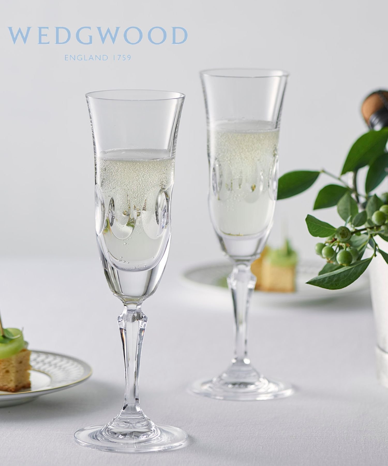 WEDGWOOD [] åå ͥå ѥ󥰥饹 ڥ 135ml åå Ĵ񡦥å 饹ޥåס...