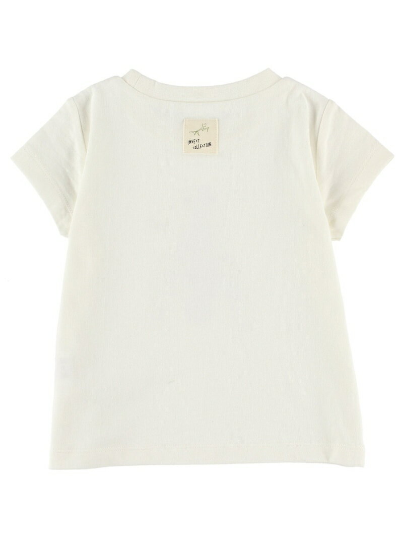 香川照之とディズニー昆虫子供服の取り扱い店舗はどこ 通販や種類口コミも調査 主婦導