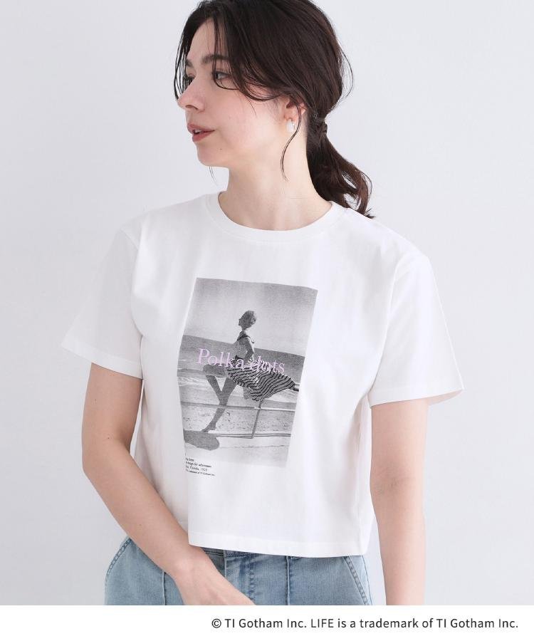 OPAQUE.CLIP 【LIFE PICTURE COLLECTION】アソートフォトTシャツ オペークドットクリップ トップス カットソー・Tシャツ グレー ホワイト