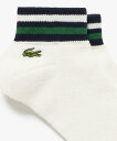 LACOSTE ボーダーリブパイル地アンク