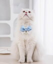 【SALE/10%OFF】aimoha home aimoha home/ペットネックレス アイモハ ペット用品 その他のペット用品 ピンク グリーン ブルー