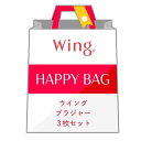 Wing  ウイング ブラジャー 3枚セット A~Eカップ ウイング インナー・ルームウェア ブラジャー