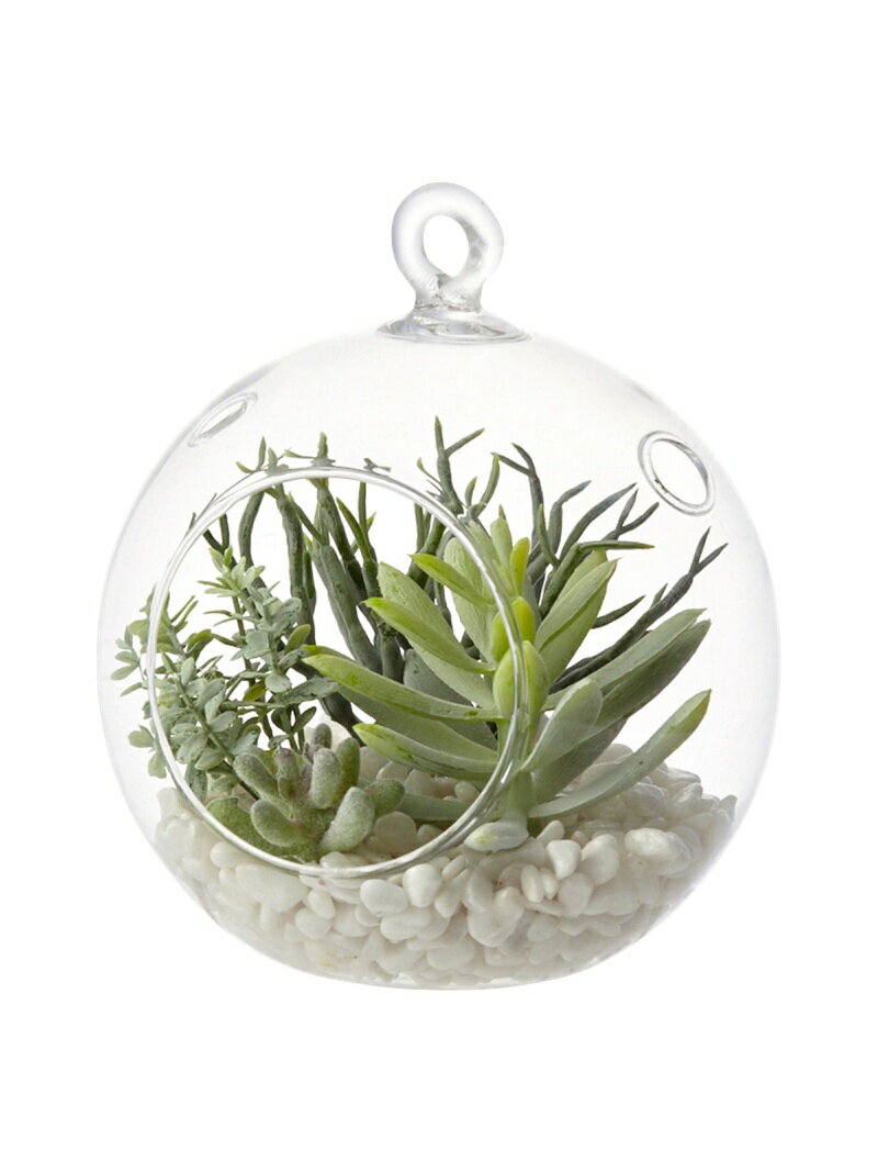 Francfranc カーロ 多肉寄せ植えポット ラウンド フランフラン インテリア・生活雑貨 その他のインテリア・生活雑貨のサムネイル