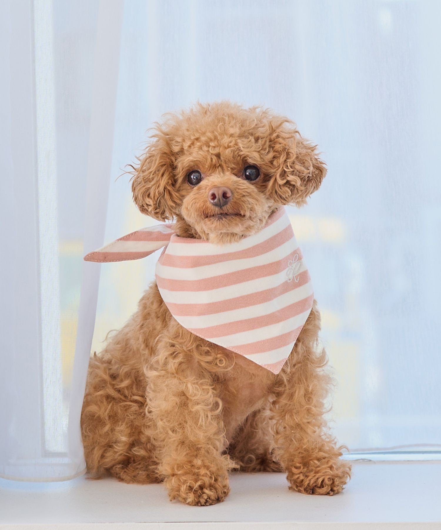 【SALE／55%OFF】ROPE' PICNIC PASSAGE 【DOG】バンダナ スカーフ ロペピクニック ペット用品 ペットウェア・ペット服 ピンク レッド ネイビー stylife-14902815 Rakuten Fashion サンプル画像3