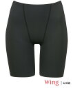 Wing ウイング 【Pパンツ】 補整ショーツ ほどよいおなか押さえ ロング丈 はきこみ丈ふかめ ウイング インナー・ルームウェア ショーツ ブルー