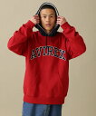 アヴィレックス パーカー メンズ 【SALE／30%OFF】AVIREX ARCH LOGO COLOR HOOD L/S PARKA/アーチ ロゴ カラー フード パーカー アヴィレックス トップス パーカー・フーディー レッド グレー ネイビー グリーン【送料無料】