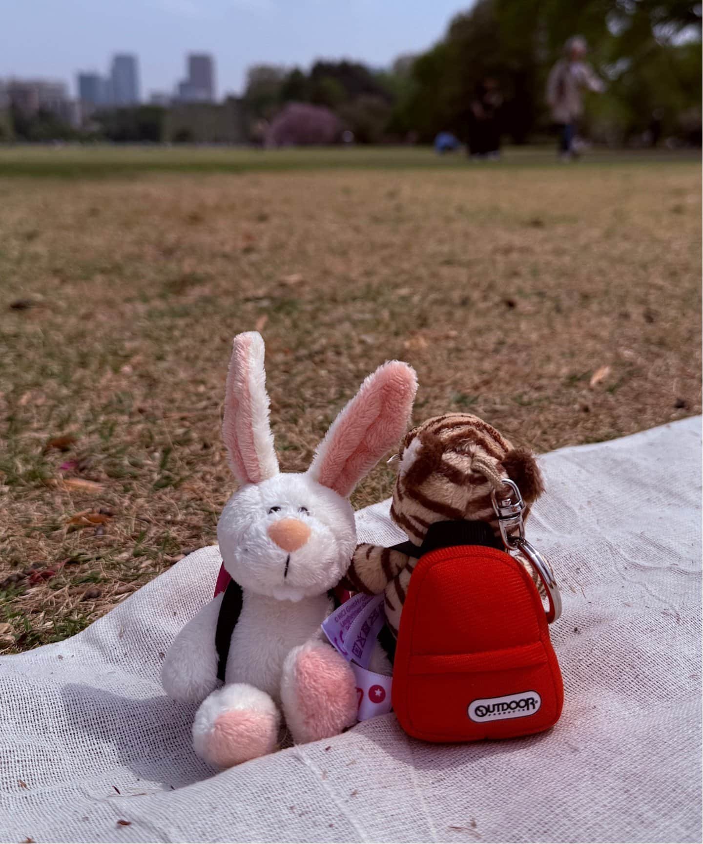 OUTDOOR PRODUCTS Usual Things NICI(ニキ)/キーホルダー ラビット ペッシュ10cm+リュック ピンク/OUTDOOR PRODUCTS アウトドアプロダクツユージュアルシングス 財布・ポーチ・ケース その他の財布・ポーチ・ケース ピンクのサムネイル