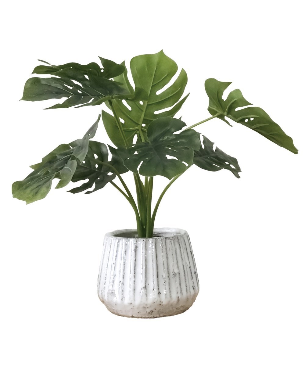 BACKYARD FAMILY 光触媒 ナビール ポットM ローラ インテリア・生活雑貨 その他のインテリア・生活雑貨【送料無料】