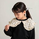 【SALE/15%OFF】branshes 【DRC/やわらか薄手裏毛】アソートカラー衿トレーナー ブランシェス トップス スウェット・トレーナー ネイビー ホ...