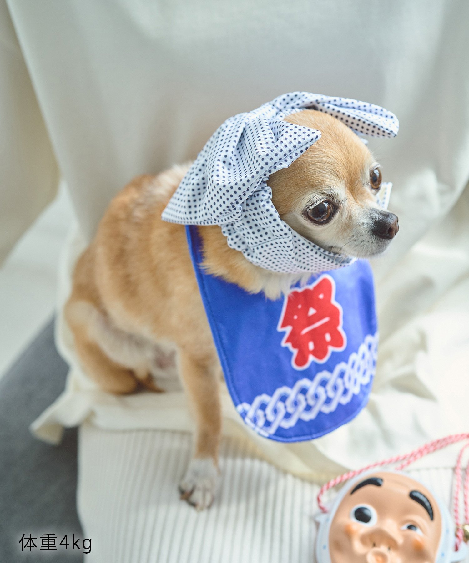 ROPE' PICNIC PASSAGE 【DOG】夏祭りコスチュームセット ロペピクニック ペット用品 ペットウェア・ペ..