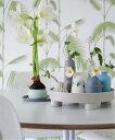 【SALE/30%OFF】aimoha home aimoha home/(W)多機能収納トレー アイモハ インテリア・生活雑貨 収納用品・棚・ラック グレー ...