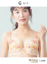 【SALE/30%OFF】Wing Lesiage ウイング 【2900シリーズ】 ブラジャー サイドすっきり しっかりフィット ウイング インナー・ルームウェ...