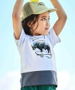 【SALE/20%OFF】BeBe バイカラーアニマルプリント天竺半袖Tシャツ(80~140cm) ベベ オンライン ストア トップス カットソー・Tシャツ ブルー ホワイト オレンジ【送料無料】