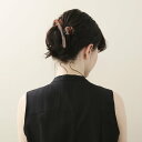 【送料無料・まとめ買い×5】貝印 HAIR　GOODS　ヘアークリップ L 2個入 ブラック (黒) HA3035 ×5点セット（4901601281323）