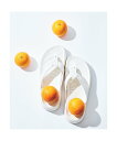 ABAHOUSE LASTWORD 【MALIBU SANDALS/マリブサンダルズ】SURFRIDER PLATF アバハウス シューズ・靴 サンダル ブラッ...