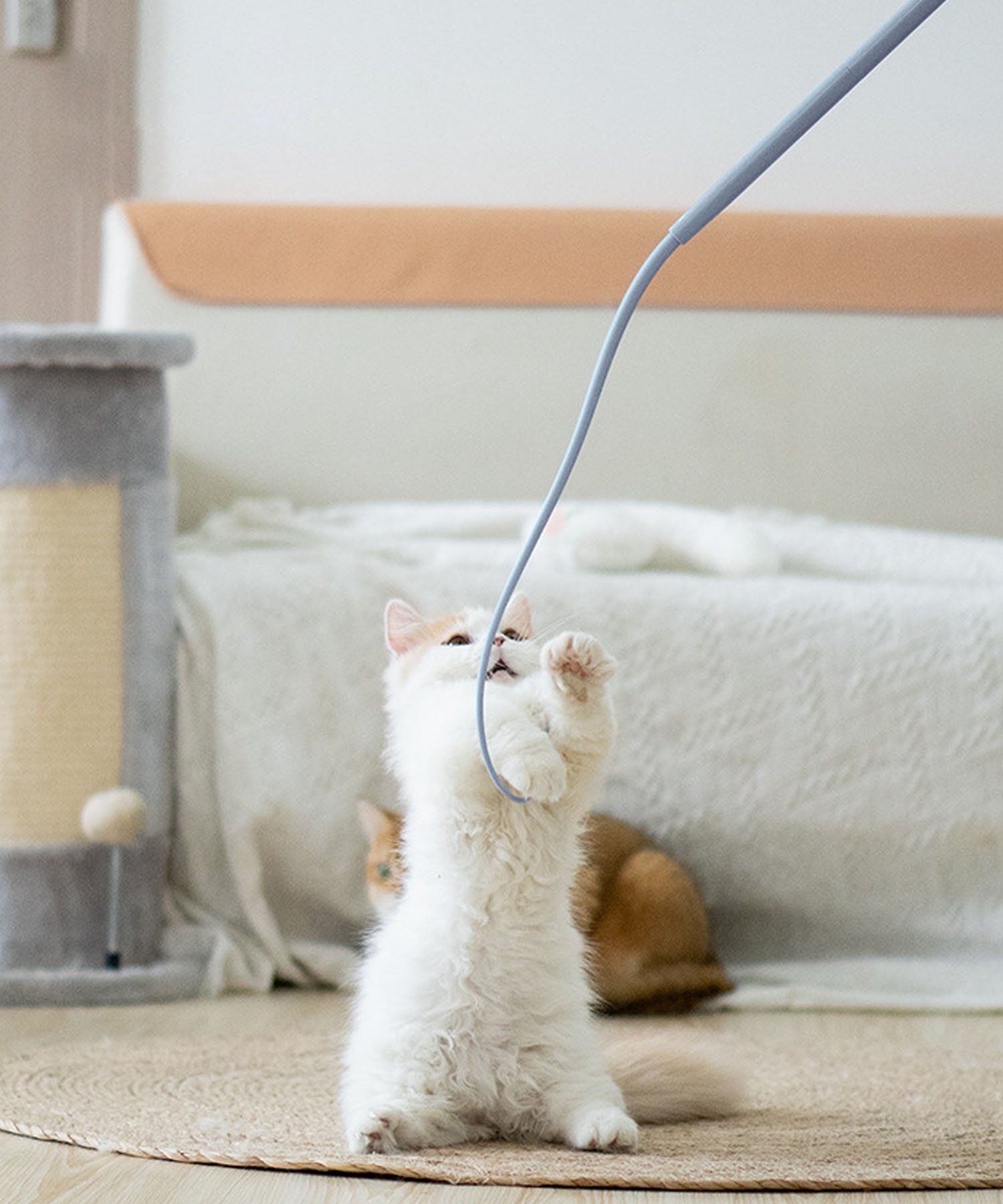 aimoha home aimoha home/しなやか猫じゃらし アイモハ ペット用品 その他のペット用品 ブルー ピンク