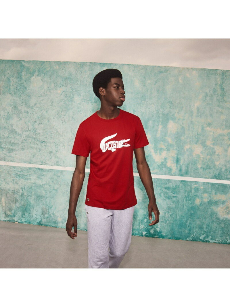 【SALE／30%OFF】LACOSTE 『ノバク・ジョコビッチ』ビッグロゴTシャツ ラコステ カットソー Tシャツ レッド ホワイト ブルー【RBA_E】【送料無料】