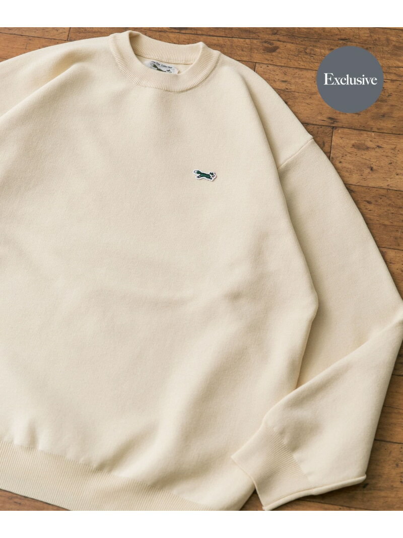 【SALE／50%OFF】URBAN RESEARCH DOORS 『別注』PENNEYS*DOORS THE FOX クルーネックニット アーバンリサーチドアーズ トップス ニット ホワイト ブラウン ネイビー【RBA_E】【送料無料】のサムネイル