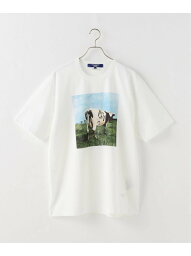 JOINT WORKS JUNYA WATANABE MAN Print-Tee WMT011- 05 1 ジョイントワークス トップス カットソー・Tシャツ ホワイト【送料無料】