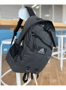 BEAMS 【別注】GREGORY / Mighty Day Lite RIP STOP 25AW リュック バックパック ビームス メン バッグ リュック・バ...